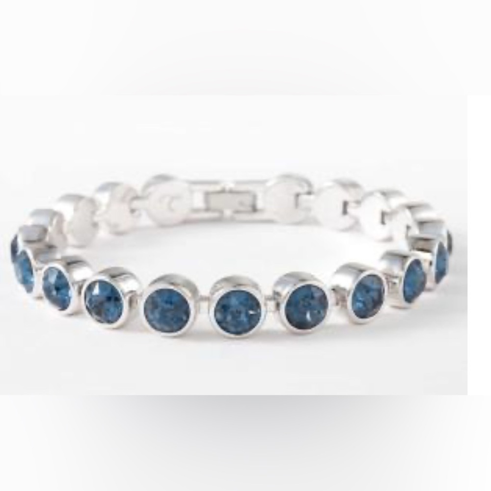 Touchstone Crystal by Swarovski Montana Blue ice bracelet BNIB